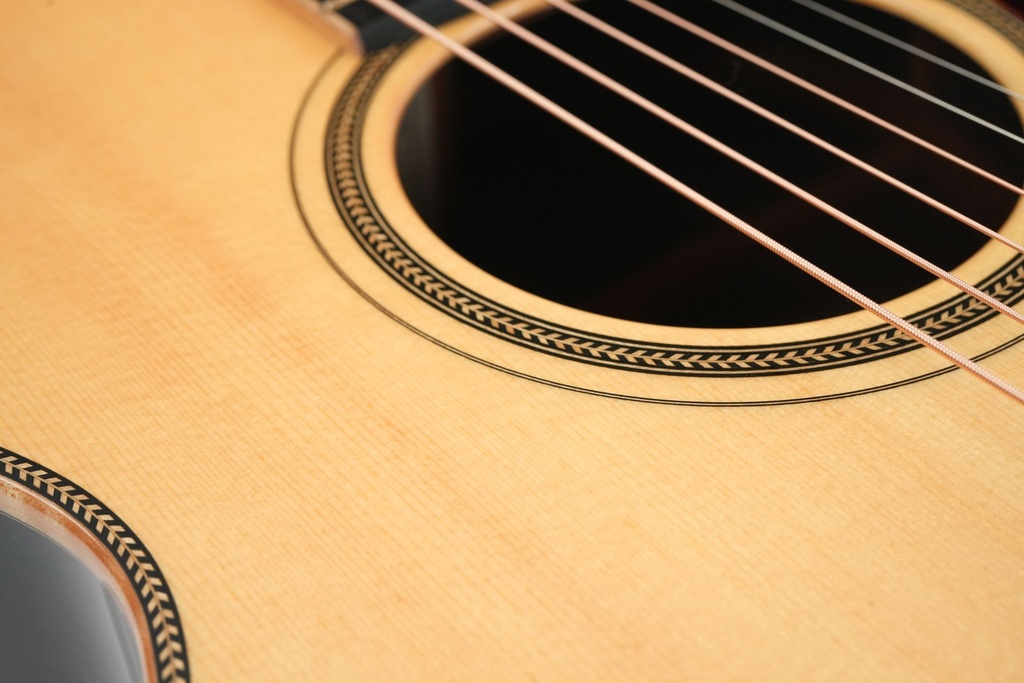 Goodall Traditional OM Adirondack Spruce Indian Rosewood 2017-12.jpg