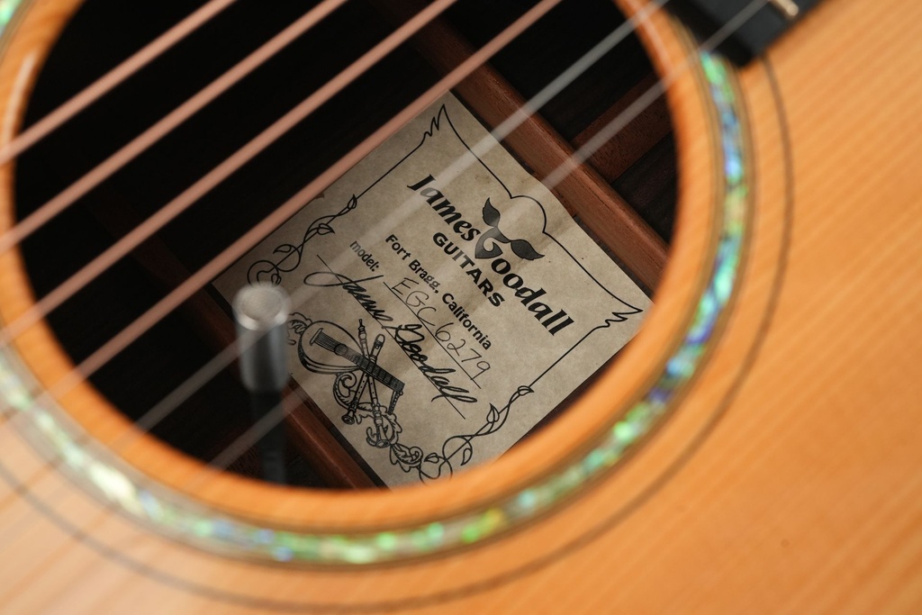 James Goodall Macassar Ebony German Spruce Grand Concert  2014-12.jpg