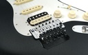 Fender Ultra Luxe Stratocaster Floyd Rose HSS 2023-10.jpg