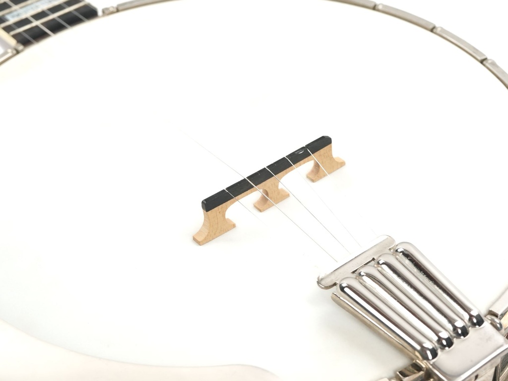 Gibson Mastertone Banjo 1970?-10.jpg