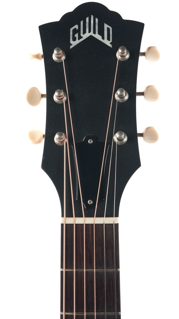 Guild M20E 2019 (?)-4.jpg