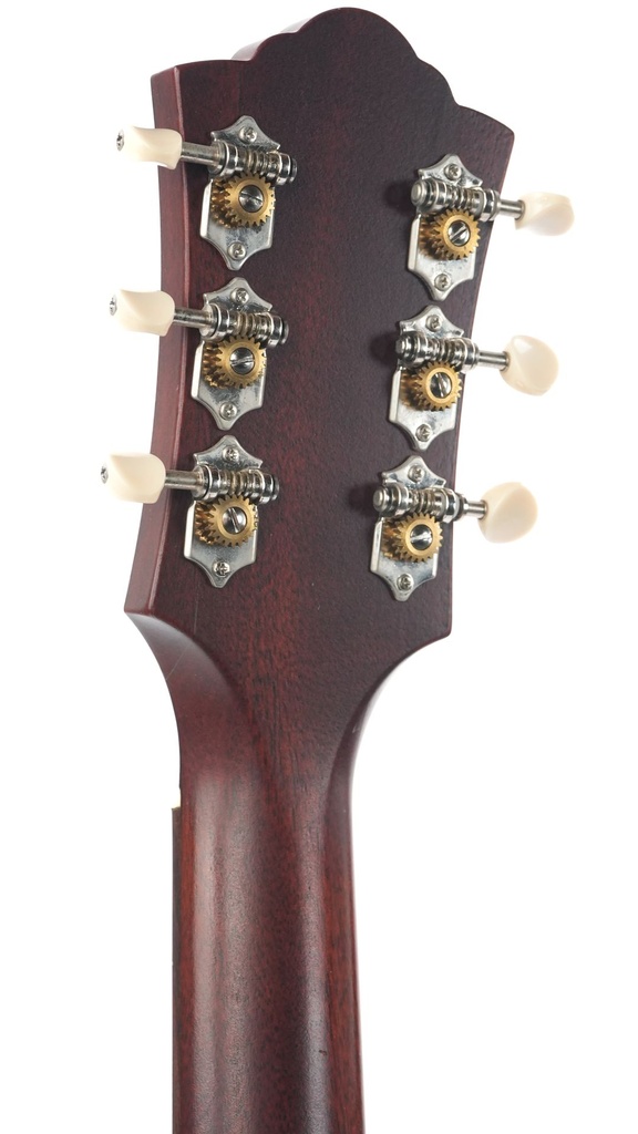 Guild M20E 2019 (?)-5.jpg