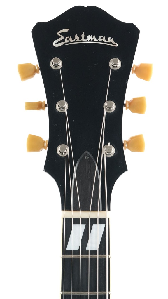 Eastman T49 D Lefty Varnish 2022-4.jpg