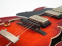 Eastman T49 D Lefty Varnish 2022-10.jpg