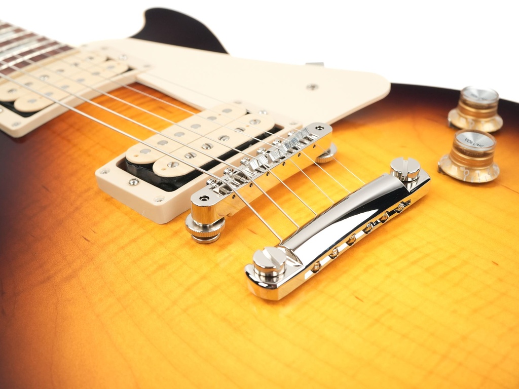 Gibson Les Paul Standard 60s Double Trouble Vintage Tobacco Burst-10.jpg