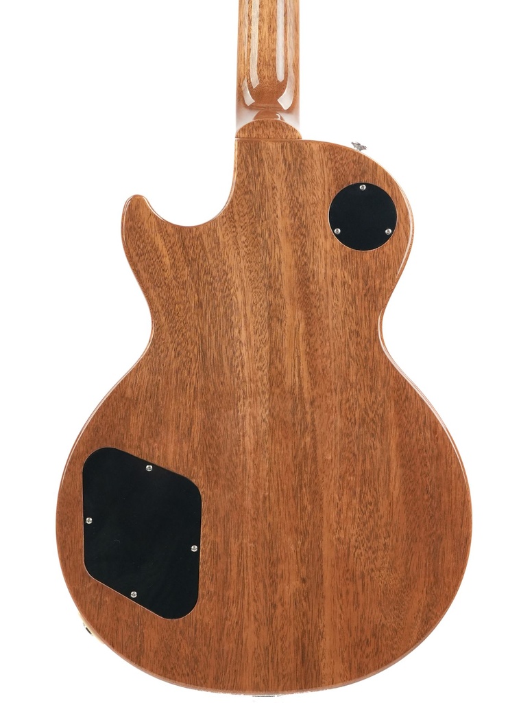 Gibson Les Paul Standard 60s Double Trouble Vintage Tobacco Burst-6.jpg