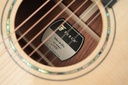 Furch Yellow Gc-SX a Honduran Rosewood Backstage LTD-12.jpg