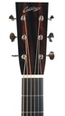 Collings D2HA Adirondack 2025-4.jpg