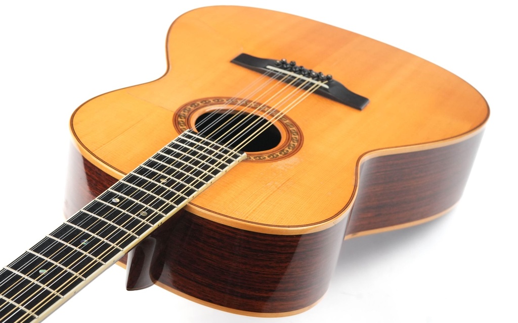 Sergei de Jonge 12 String 1981-8.jpg