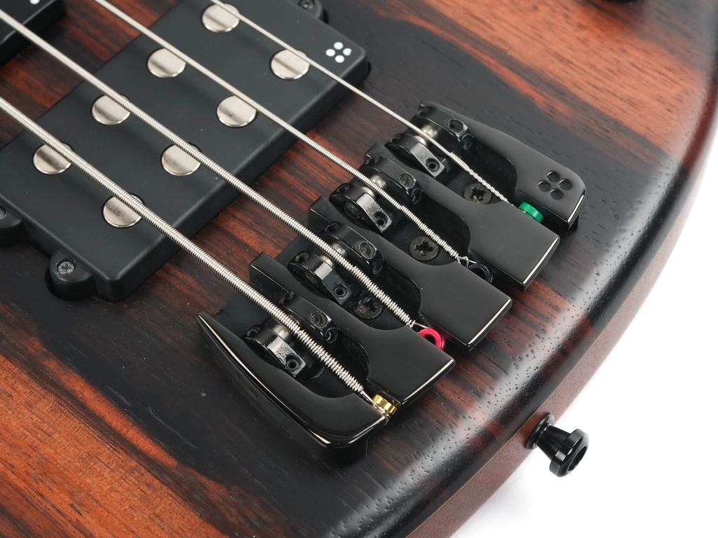 Sandberg California VM 4 Special Macassar 2023-10.jpg