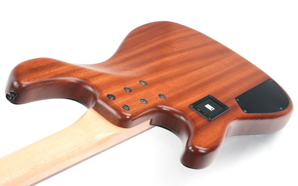 Sandberg California VM 4 Special Macassar 2023-9.jpg