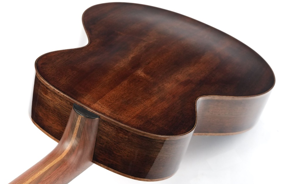 Suetin BNKA L4 15 Inch Archtop-9.jpg