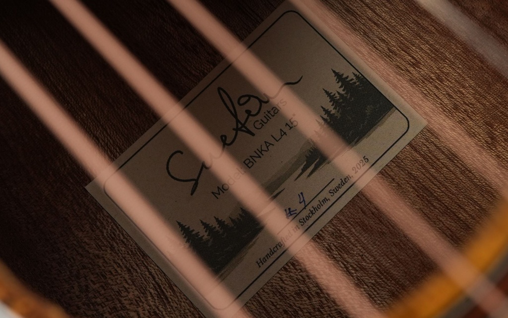 Suetin BNKA L4 15 Inch Archtop-13.jpg