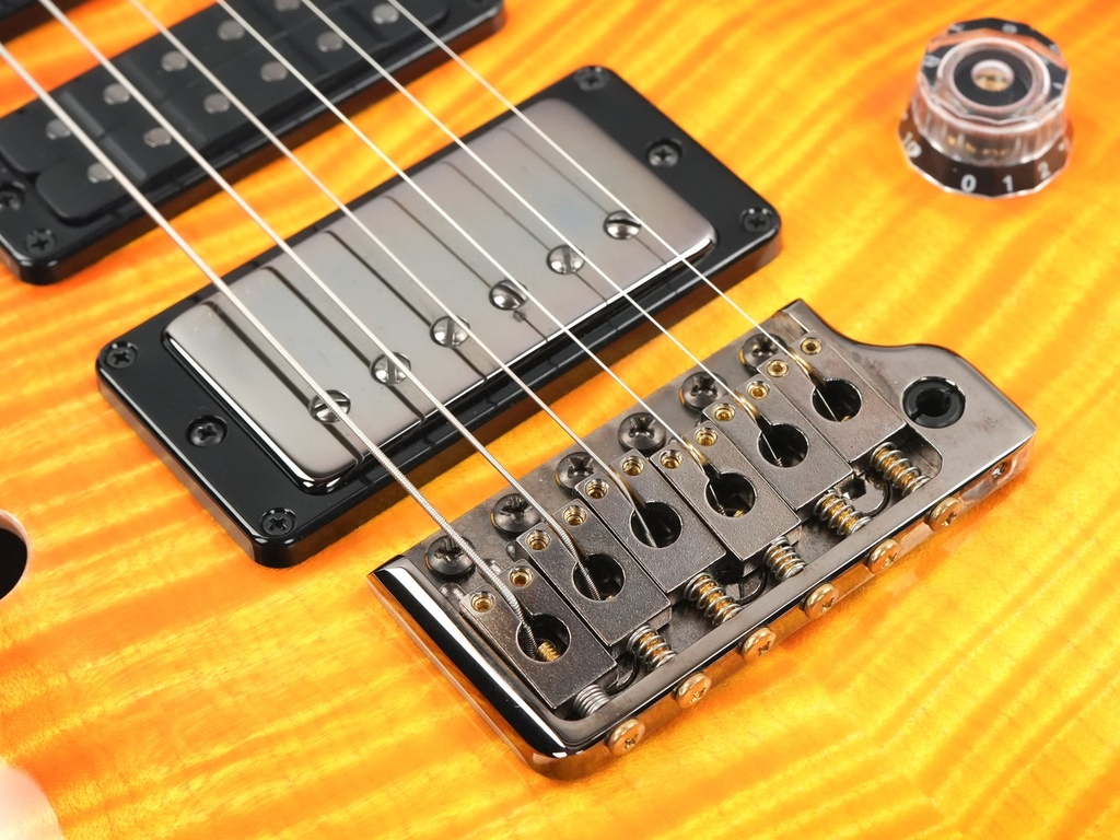 PRS Private Stock Special Semi Hollow Citrus Glow Ziricote Neck 2022-11.jpg