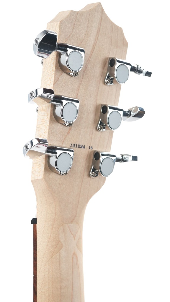 Deering Goodtime 6-String G6S-5.jpg
