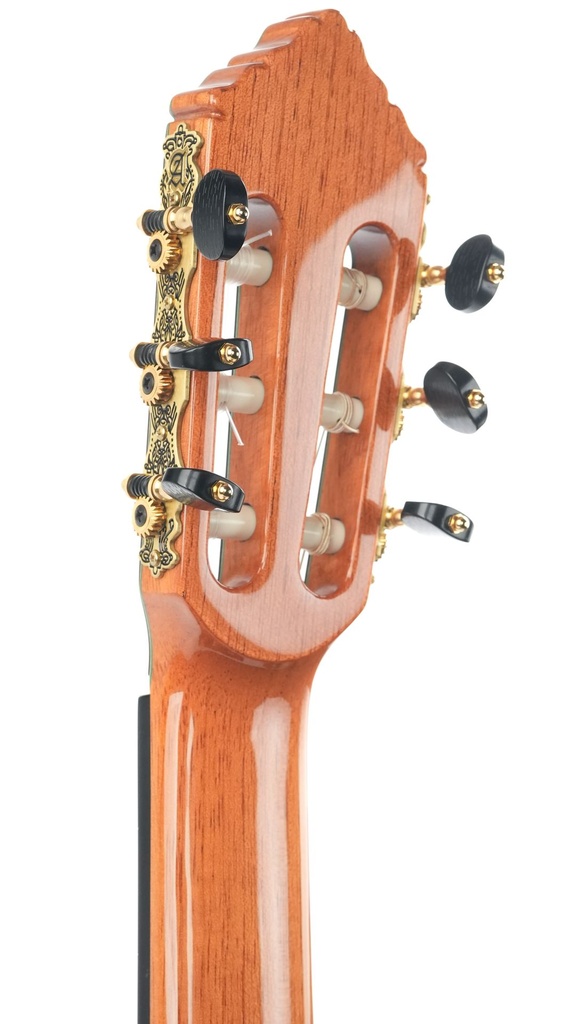 Alhambra 11P IRW-CED 2024-5.jpg