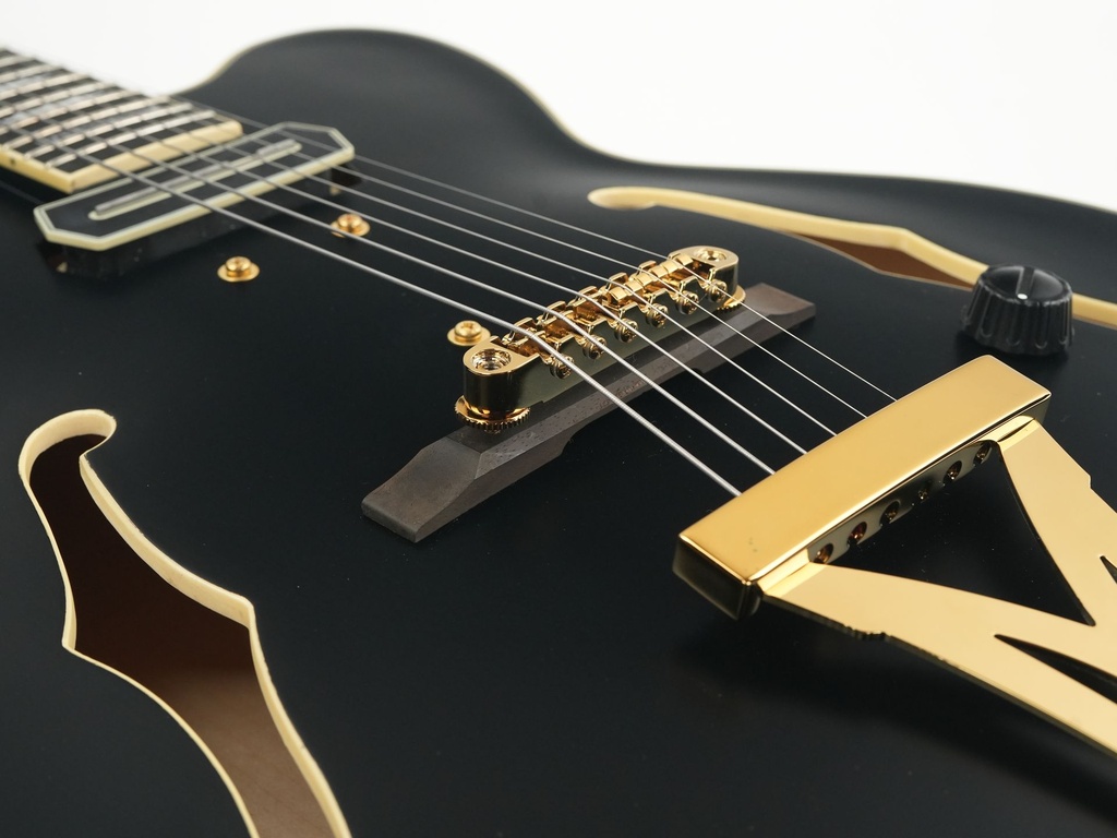 Ibanez PM3C Black Pat Metheny 2024-10.jpg