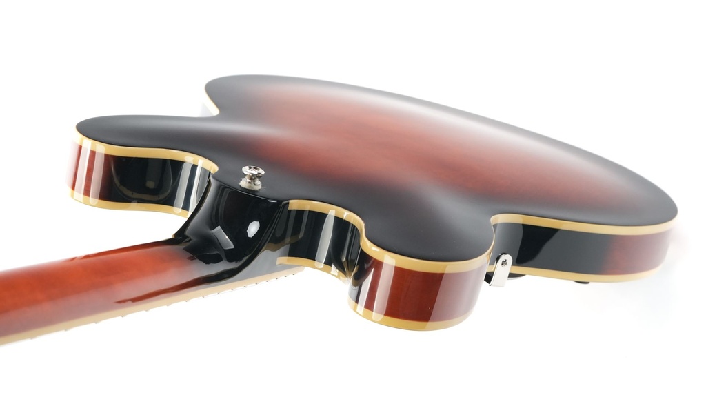 Epiphone Bonehead Riviera Dark Tobacco Sunburst-9.jpg