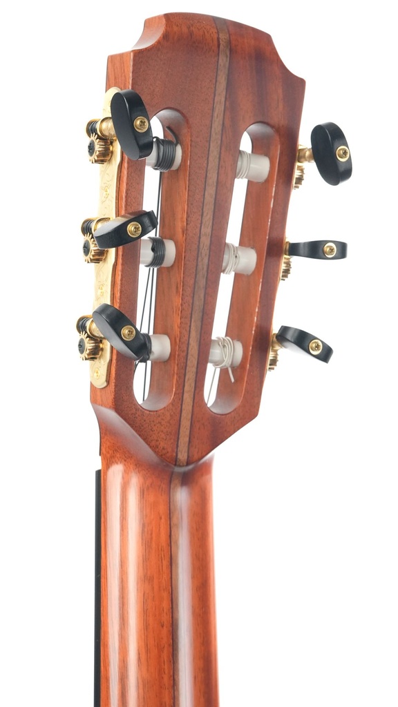 Lowden S32J Jazz Nylon 2022-5.jpg