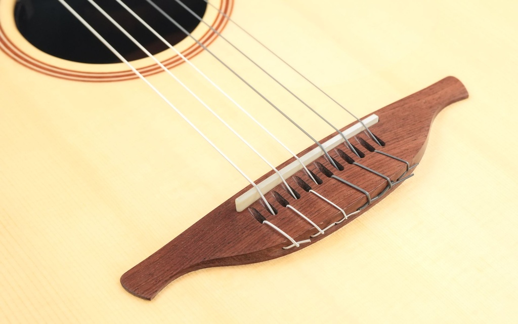 Lowden S32J Jazz Nylon 2022-10.jpg