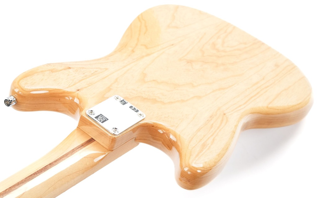 Fender Mustang Ben Gibbard 2022-9.jpg