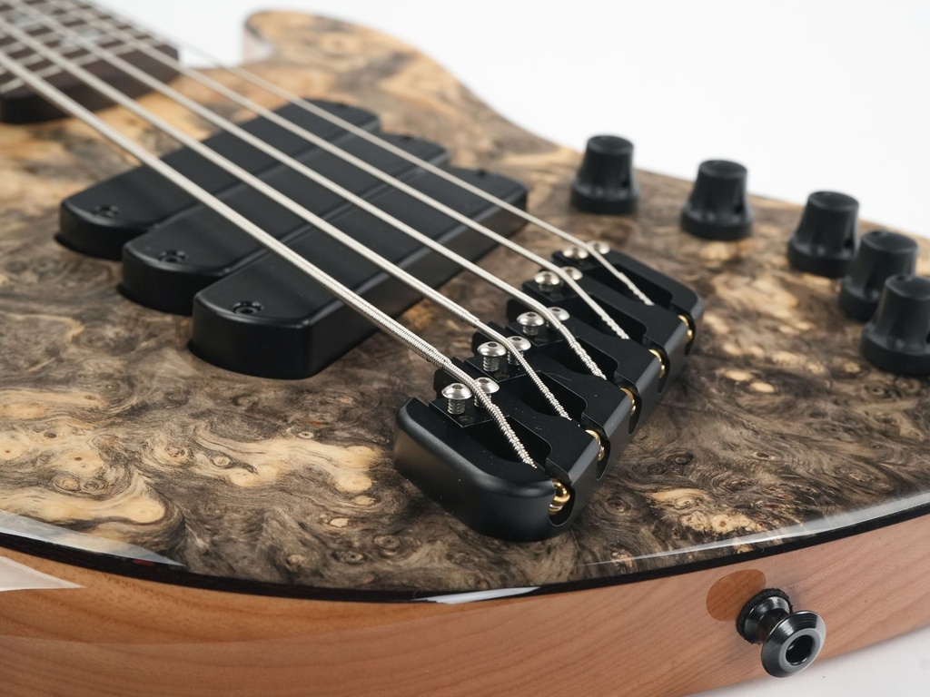 Dingwall Super J, 5-string, 3 pickups-10.jpg