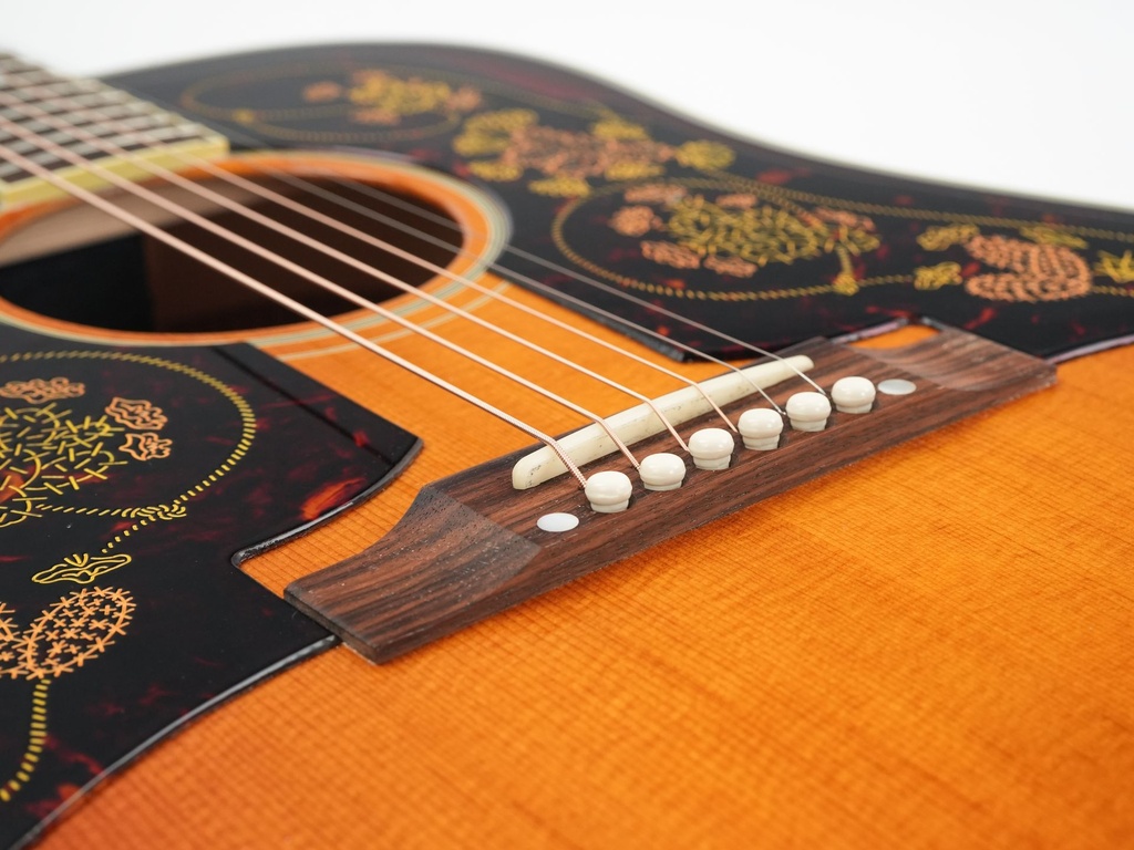 Epiphone Frontier Chris Stapleton Burst 2022-10.jpg