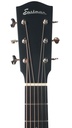 Eastman E6SS TC 2024-4.jpg