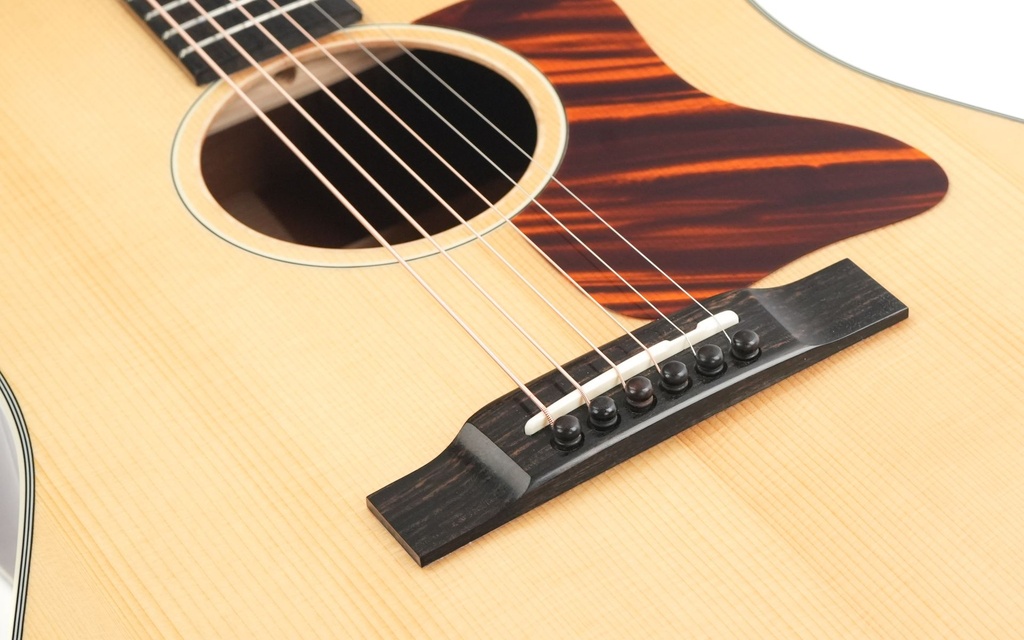 Eastman E6SS TC 2024-9.jpg