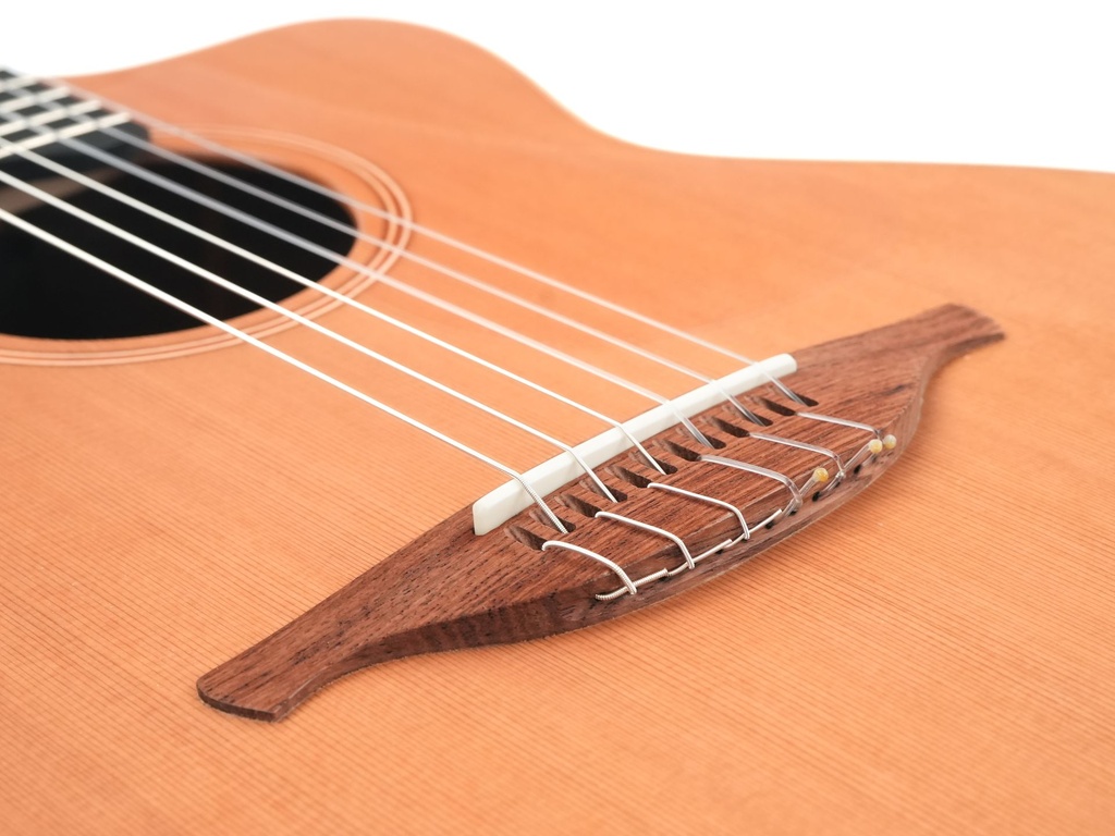 Lowden S23J Walnut Cedar 2024 2-11.jpg