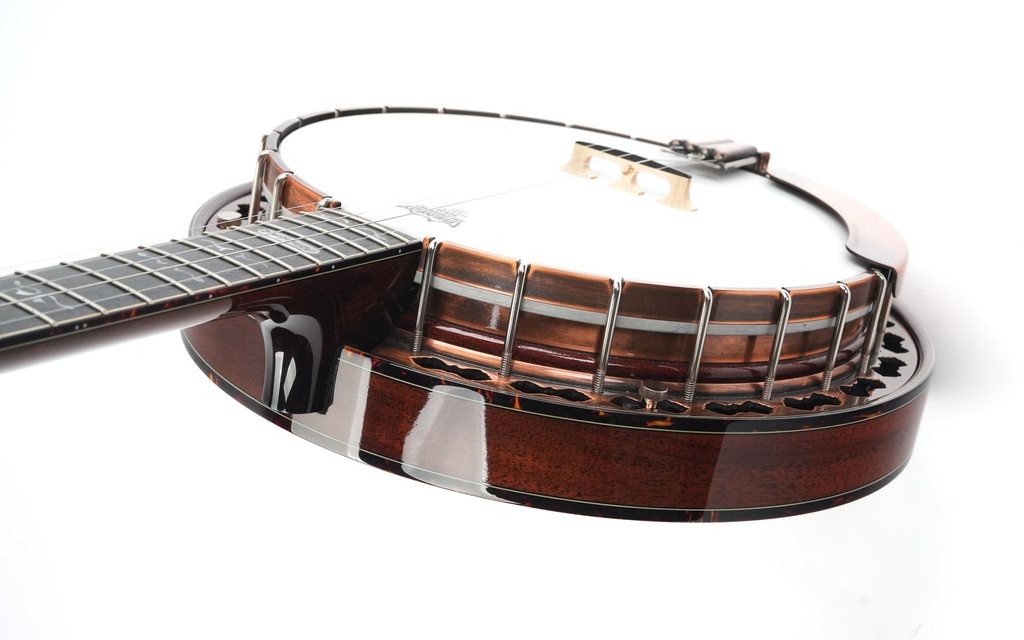 Prucha Diamond Point Banjo 2006-8.jpg