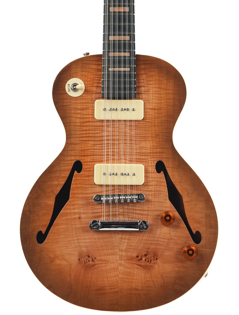 Stoney Creek Obsidian 12 String Hollowbody 2020-4.jpg