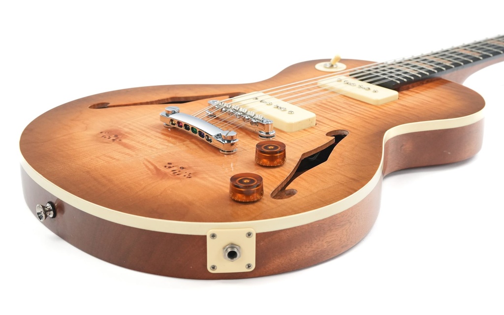 Stoney Creek Obsidian 12 String Hollowbody 2020-12.jpg