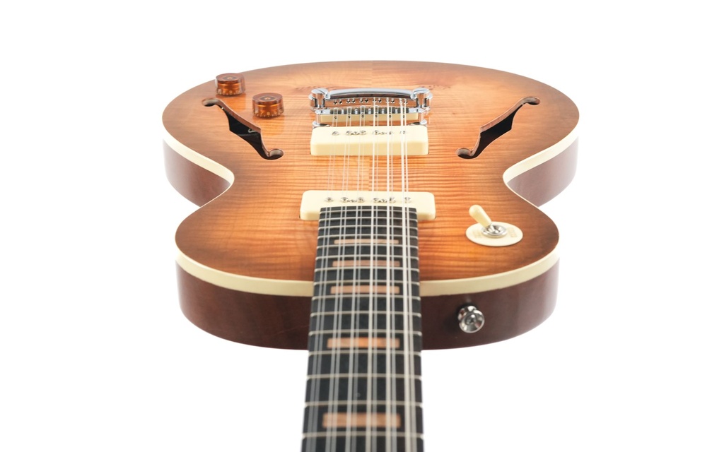 Stoney Creek Obsidian 12 String Hollowbody 2020-13.jpg