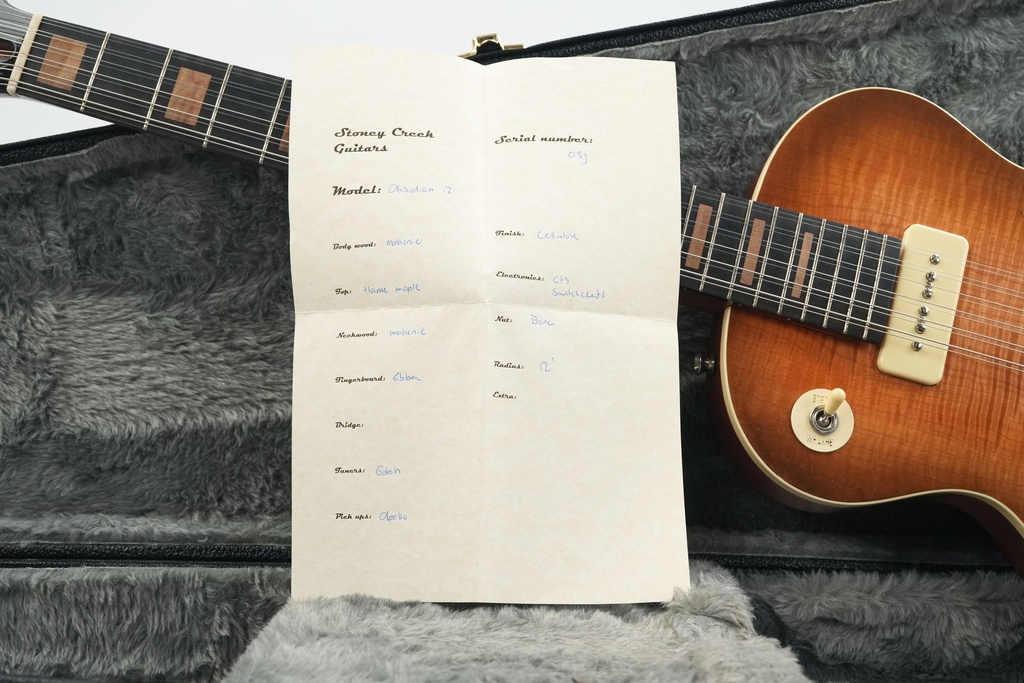 Stoney Creek Obsidian 12 String Hollowbody 2020-2.jpg