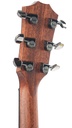 Taylor 814ce 2026-5.jpg