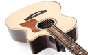 Taylor 814ce 2026-8.jpg