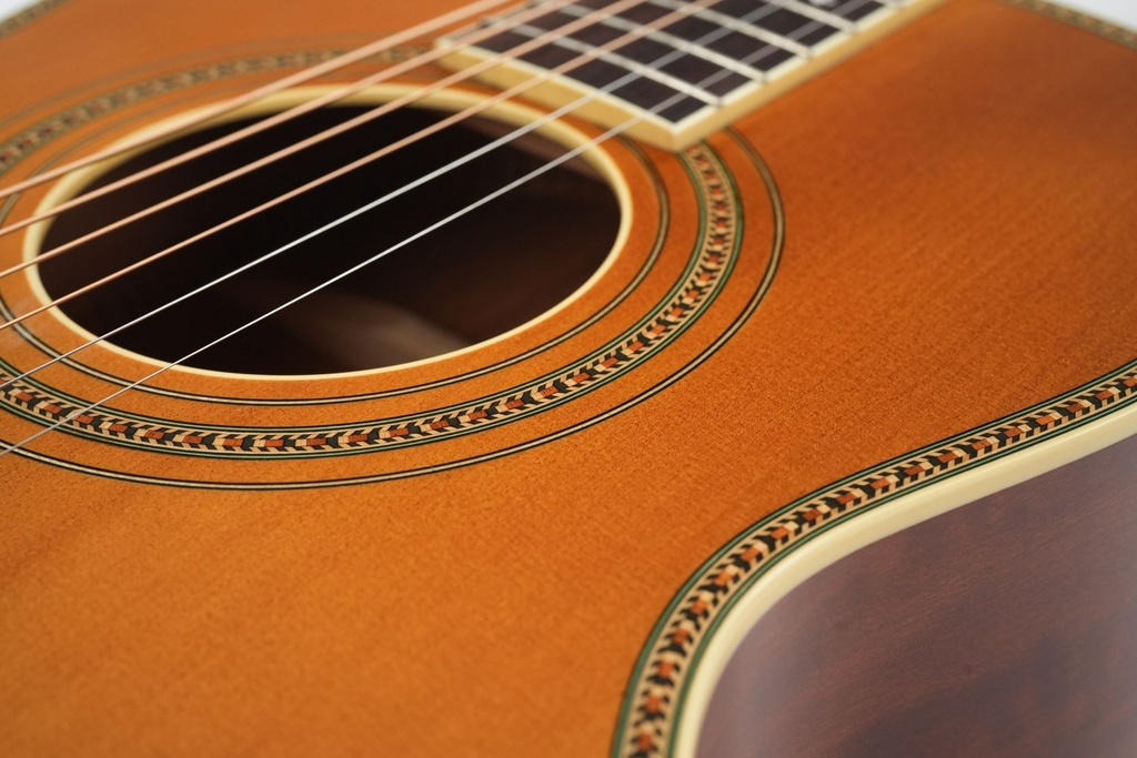 Waterloo WL-S DLX-12.jpg