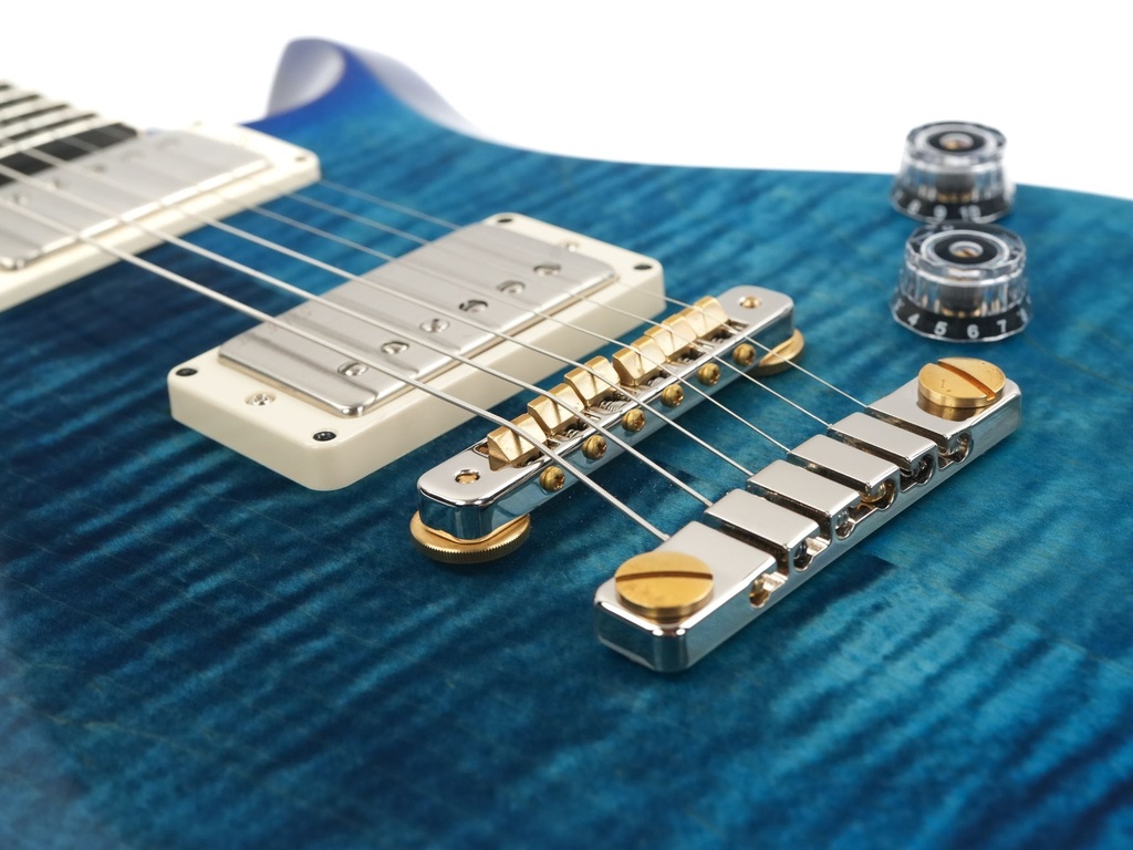 PRS S2 10th Anniversary McCarty 594 LTD Lake Blue 2023-10.jpg