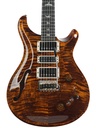 PRS Special 22 Black Gold-3.jpg