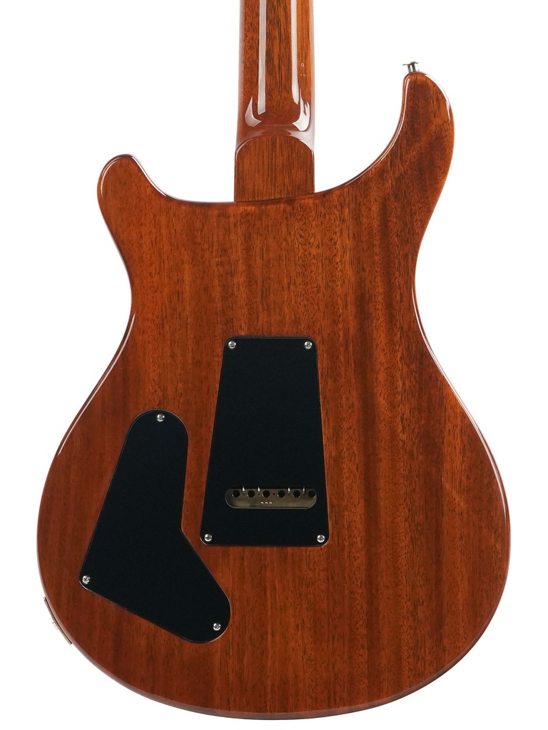 PRS Special 22 Black Gold-7.jpg