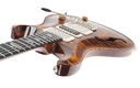 PRS Special 22 Black Gold-8.jpg
