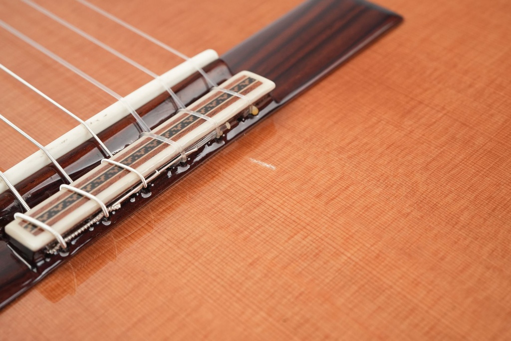 Alhambra Linea Professional Indian Rosewood Cedar B-Stock-13.jpg