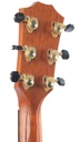 Taylor 314CE Koa LTD ES2 2003-5.jpg