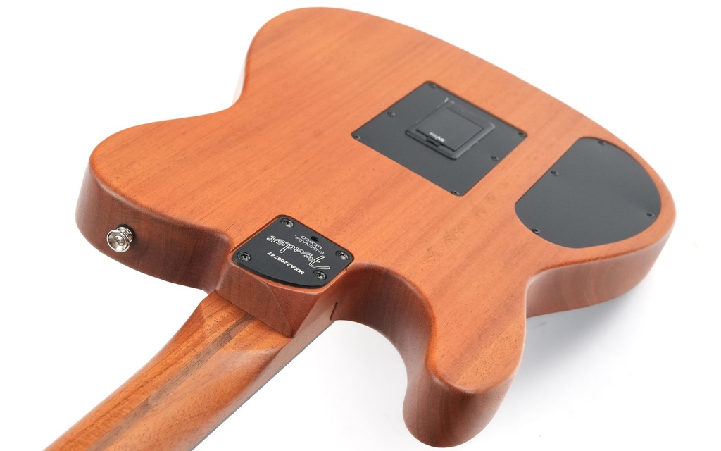 Fender MIM Acoustasonic Stratocaster 2022-9.jpg