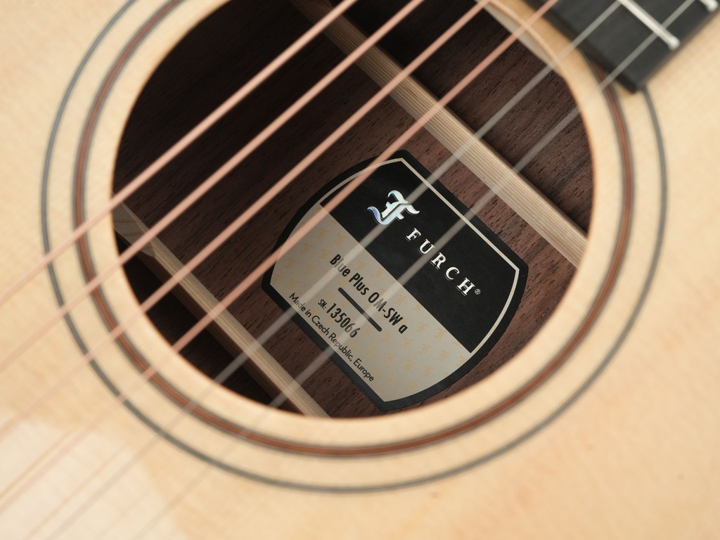 Furch Blue Plus OM SW a-11.jpg