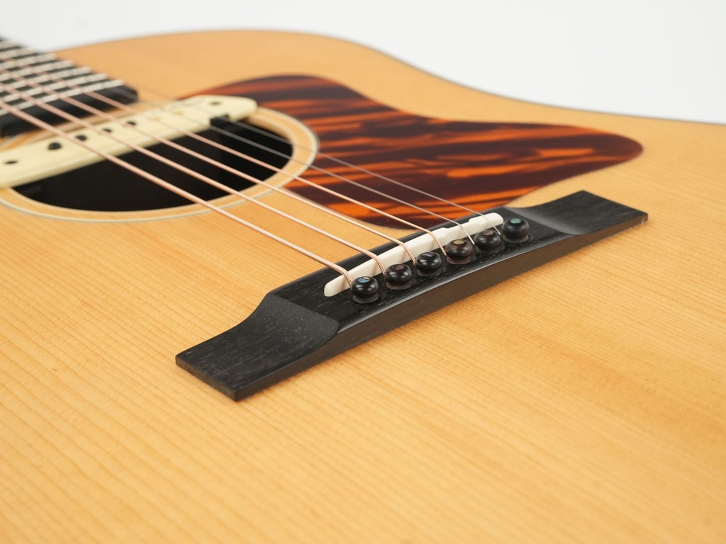 Eastman E10SS-TC TFOA Limited 2022-10.jpg