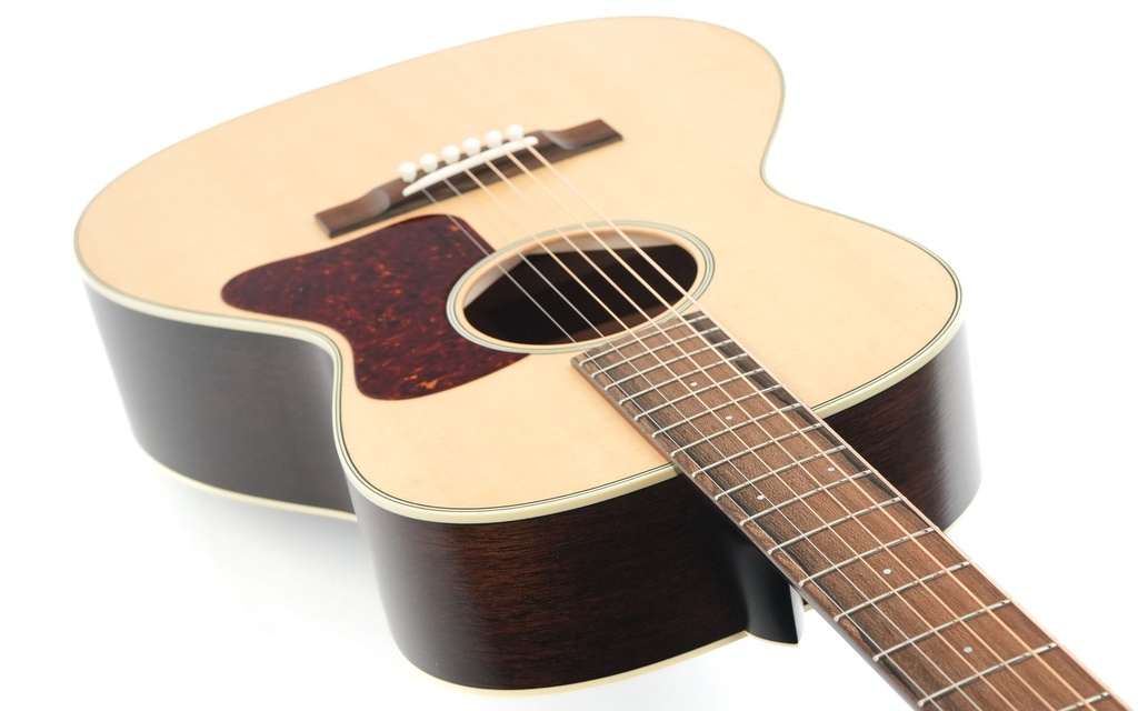 Bourgeois Professional Series The Natural LDBO Satin-8.jpg