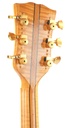 Hoyer Special Archtop Natural 1950s ?-5.jpg
