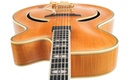 Hoyer Special Archtop Natural 1950s ?-13.jpg